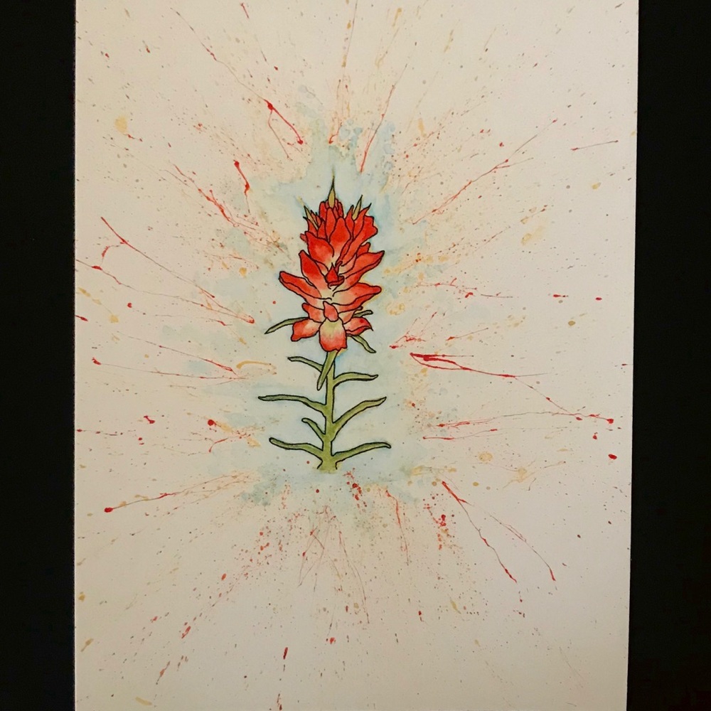 Indian Paintbrush Watercolor Print(8x10 inches)